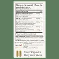 Stonehenge Health Dynamic GLP-1 — 60 capsules — supplement facts